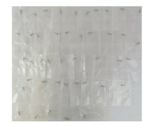 TEL Tokyo Electron D112576 Guide Spring Locating Pin Reseller Lot of 45 MRC New