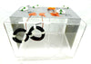 SCP Santa Clara Plastics 10.4 Gallon Quartz Tank Preweigh H2SO4 Unmarked New