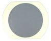 Rudolph Technologies F30 300mm Wafer Mounter Table Ceramic Chuck Working