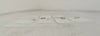 Novellus Systems 04-350398-00 Sequel Spindle PM Kit Reseller Lot of 10 New