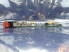 DIP 15049602 CDN496 PCB Card 516-042 AMAT Applied Materials 0190-06172 Working