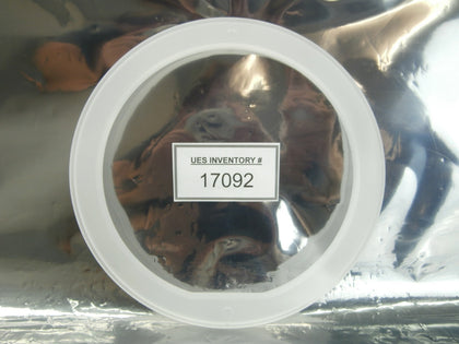 Ulvac Technologies EM2120-130-02A 8" Quartz Platen Ring Ceraus ZX-1000 200mm New