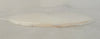 Forcera 900596 Plate Gas Shower Head 21 Holes Lam 9600 Etch 716-330892-005 New