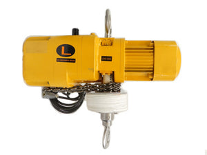 Harrington Cranes ER010LD 1 Ton Chain Hoist Hook Mount with SWD2200AA1 Working