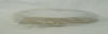 Semitool 213T0181-561 2.0mm Reach Ring Contact with Drain Slots 200mm New