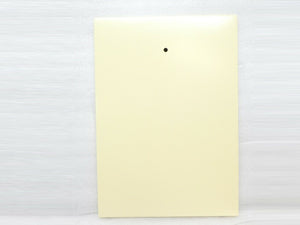 ASM Advanced Semiconductor Materials 16-144714-01 Door Upper Fore WHM LH New