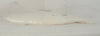 Forcera 900596 Plate Gas Shower Head 21 Holes Lam 9600 Etch 716-330892-005 New