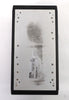 Verity Instruments 1013817 Spectrograph SD1024F1 Working