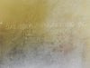 AMAT Applied Materials 4347 B 5000 CVD Chamber 200mm Precision 5000 P5000 Used