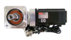 Sanyo Denki P50B07040HCS00M AC Servo Motor BL Super P5 Working Surplus