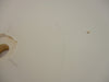 Lam Research 719-003481-872 C Ceramic Plate Working Surplus