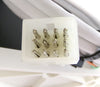 Entegris 6500-T3-F02-B06-A-P1-U1 NT Integrated Flow Controller Working