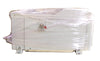 IGX100MTi Edwards NRY525000XS Vacuum Dry Pump 500418810 Manufacturer Refurbished