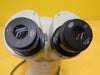 Olympus SZ Stereoscopic Zoom Microscope Head 0.7-4X G20X Support Block Used