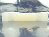 Semitool 570B0027-01 Bumper Main Ladder Box Washer New Surplus