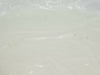 Novellus 00-686349-00 External Housing Rev. C Working Surplus