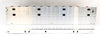 Mitsubishi MELSEC-Q PLC Control Assembly Q25HCPU Q173CPUN Lot of 3 Working Spare