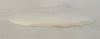 Forcera 900596 Plate Gas Shower Head 21 Holes Lam 9600 Etch 716-330892-005 New