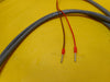 TEL Tokyo Electron J12 Cable Assembly New Surplus