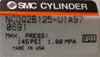 SMC NCDQ2B-UIA97 0691 300mm Pneumatic Cylinder AMAT 0060-13113 Working Surplus