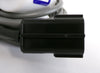 Malema Sensors M-55-T13-01-006 CHEM Flow Switch AMAT Lot of 2 New
