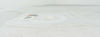 AMAT Applied Materials 0200-00011 100mm Quartz Ring 4" New Surplus