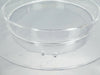 West Coast Quartz 91-00569 200mm Quartz Focus Ring POLY/WSI 91-00569A Working
